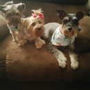 Doggie Doos - Pet Boarding & Kennels