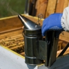 Lakes Pest Control gallery