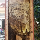 SUNSHINE HONEY - Bee Control & Removal Service