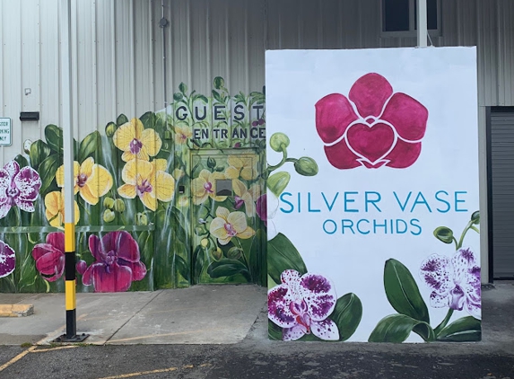 Silver Vase Orchids - Homestead, FL