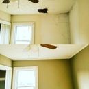 Downs Property Maintenance - Ceilings-Supplies, Repair & Installation