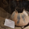 River of Time Museum & Exploration Center gallery