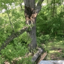 Peter Branch Tree Service