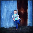 Big Orange Pumpkin Farm - Ranches