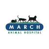 March Animal Hospital gallery