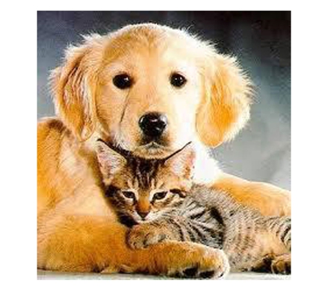 Fairymount Veterinary Clinic - Kyogle, NSW