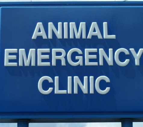 Animal Emergency Clinic - Saint Petersburg, FL