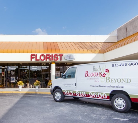 Buds Blooms And Beyond Florist - Tampa, FL