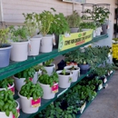 Tractor Supply Co - Garden Centers
