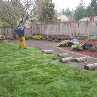 Duong's Landscaping & Gardening service - seattle, WA. New sod