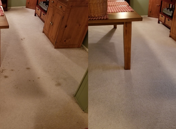 DBS Carpet & Floor Care - Lake Saint Louis, MO