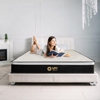 Springfit Mattress OEM Hotel & Institutional Supplier + Ret gallery