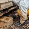All About Pest Control Inc gallery