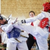 Shiba Taekwondo gallery