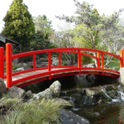 Gallery Image Number 8
