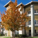 The Greens of Fossil Lake Apartments - Apartments