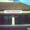 China Blossom gallery