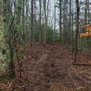 Moose Creek Land Clearing