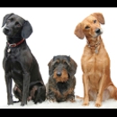 Poop Scoopers Pet Waste Removal - Pet Services