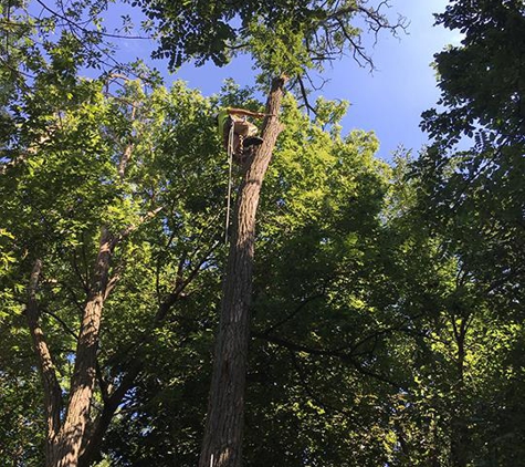 Miller Tree Service - Spring Grove, IL