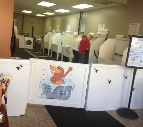 Mud Puppy Do It Yourself Dog Wash & Grooming - Mission Viejo, CA