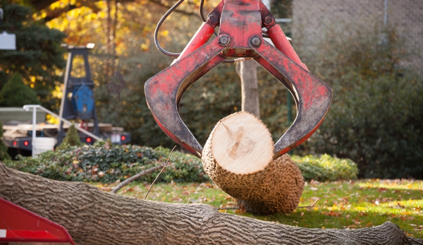 Arborist Enterprises, Inc. - Manheim, PA