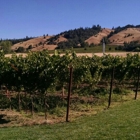 Navarro Vineyards & Winery