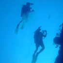 Dive Pros - Divers