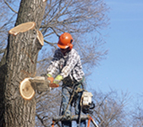 All Pro Tree & Crane - Saluda, NC