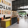 Nollie Apartments gallery