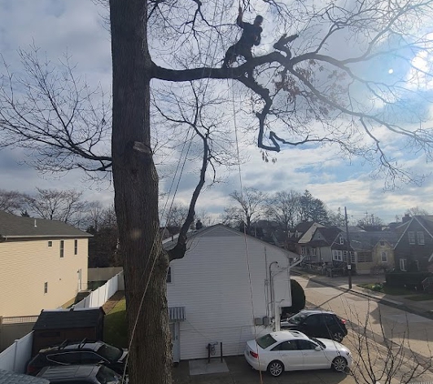 Anytown Tree Service Inc - Indianapolis, IN