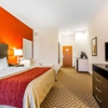 Comfort Inn gallery