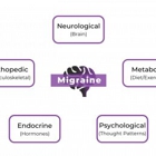 Migraine & Neuro Rehab Center