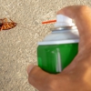Alan's Honey Bee Removal gallery