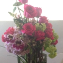 Beyond Arrangements - Flowers, Plants & Trees-Silk, Dried, Etc.-Retail