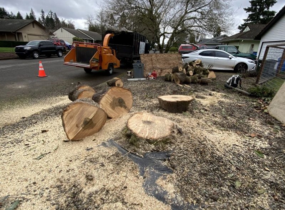 Alexa's Tree Service LLC - Vancouver, WA