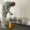 South Gate Mold Removal CA gallery