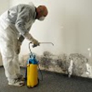 South Gate Mold Removal CA - Mold Remediation