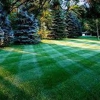 Easy Green Landscape Maintenance gallery