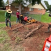 Fulshear Tree Service gallery