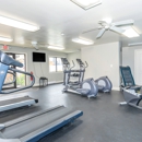 London Square & Blue Spruce Apartments - Furnished Apartments