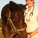 Mindful Healing Veterinary Care, PLLC - Veterinarians