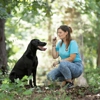 Koda's Canine Academy gallery