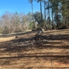 Century Tree and Mulching gallery