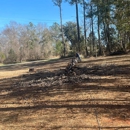 Century Tree and Mulching