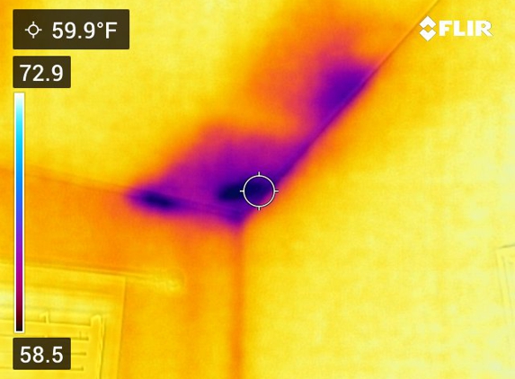 CoreView Inspection - Indianapolis, IN. Thermal Imaging shows heat loss through missing attic insulation.