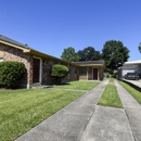 Wildflower