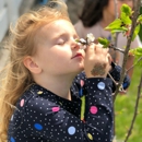 Heritage Montessori School of Newport Beach - Costa Mesa - Preschools & Kindergarten