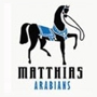 Matthias Arabians