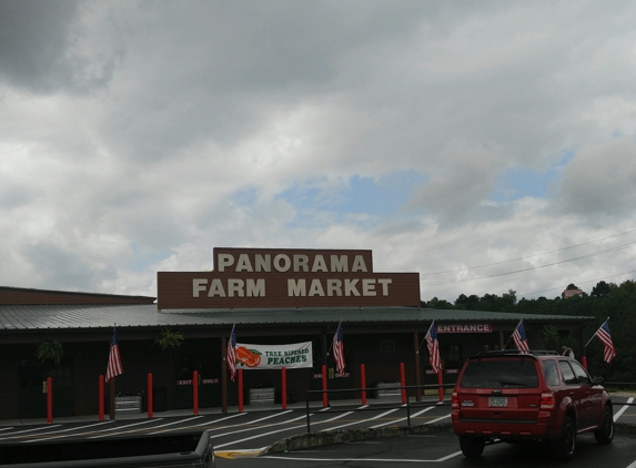 Panorama Farm Market - Ellijay, GA